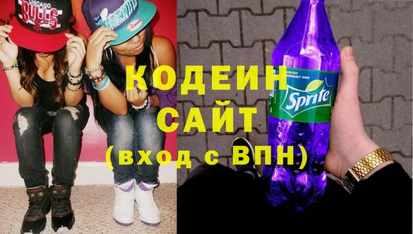 ПСИЛОЦИБИНОВЫЕ ГРИБЫ Рославль