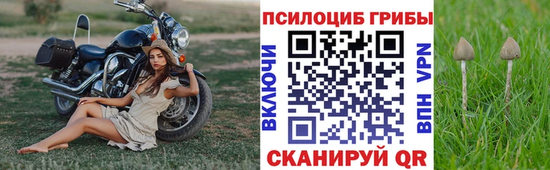 Псилоцибиновые грибы MAGIC MUSHROOMS  что такое   Усинск 