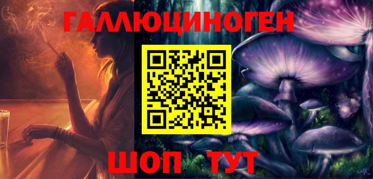 Галлюциногенные грибы Psilocybe Усинск